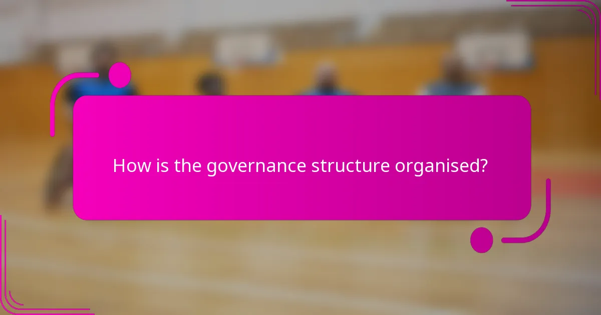 How is the governance structure organised?