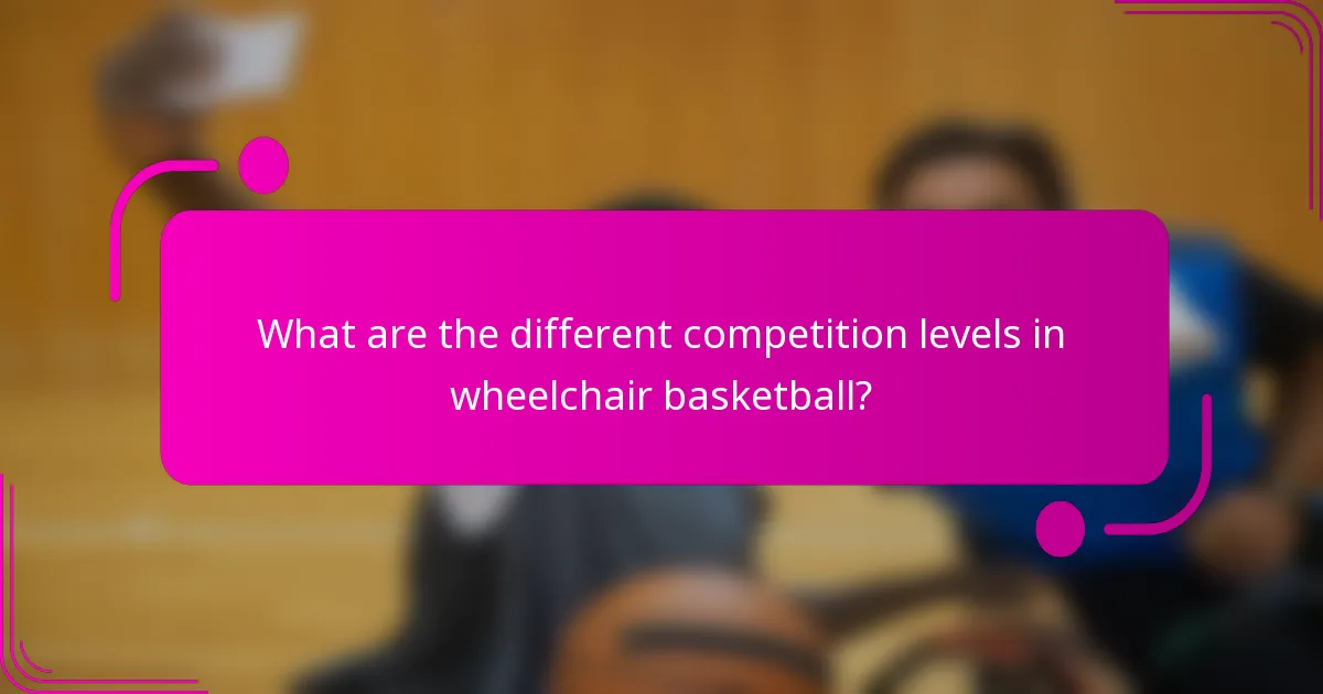 What are the different competition levels in wheelchair basketball?