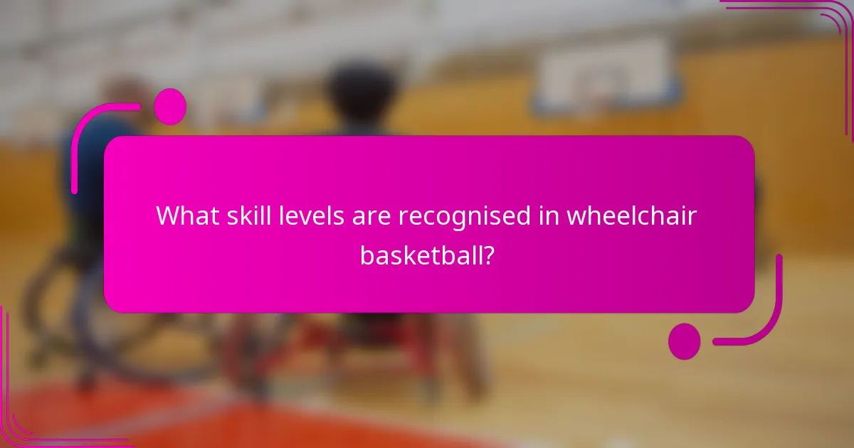 What skill levels are recognised in wheelchair basketball?
